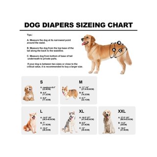 Pañales reutilizables lavables para perros