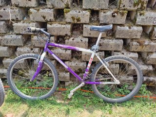 Bicicleta de Montaña Morada