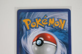 Grovyle No Holo Diamante y Perla Grandes encuentro
