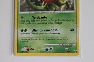 Grovyle No Holo Diamante y Perla Grandes encuentro
