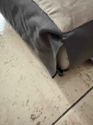 Cama para perro en buen estado