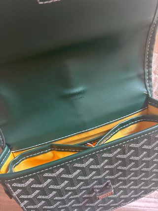 Bolso Goyard Verde Multicolor