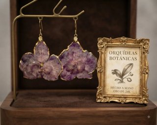 Pendientes Flor Natural Orquídea Dorados