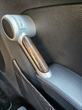 Panel Puerta Mercedes SLK R171 Copiloto
