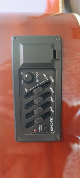 Guitarra Electroacústica Harley Benton