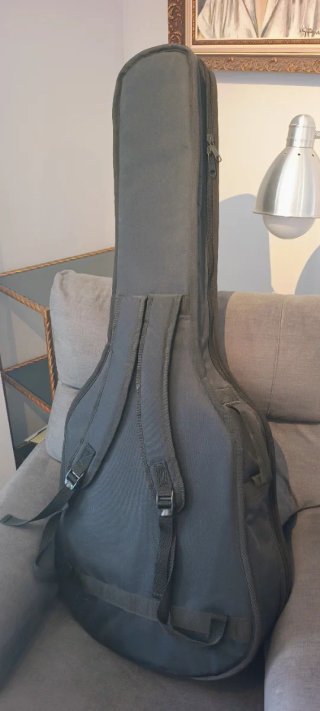 Guitarra Electroacústica Harley Benton