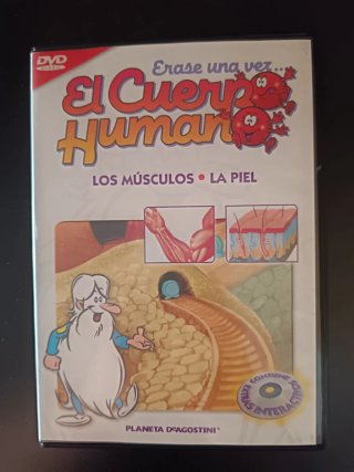 13 DVD El Cuerpo Humano
