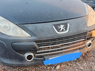 Peugeot 307 2007