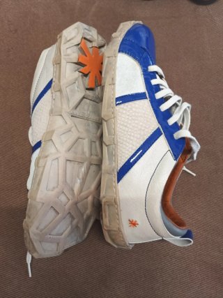 Zapatos de mujer azul y plateado