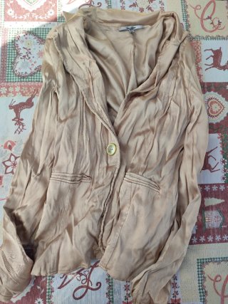 Chaqueta americana dorada levita