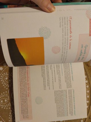 Mi diario de meditación un año de actividades p...