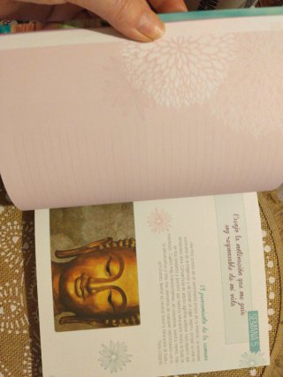 Mi diario de meditación un año de actividades p...