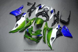 Oferta especial Carenado KAWASAKI ZX 4R RR 2023