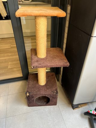 Regalo rascador para gatos