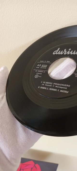 Nanni Svampa, Patruno, Mazzola -"Viva la Rosa"