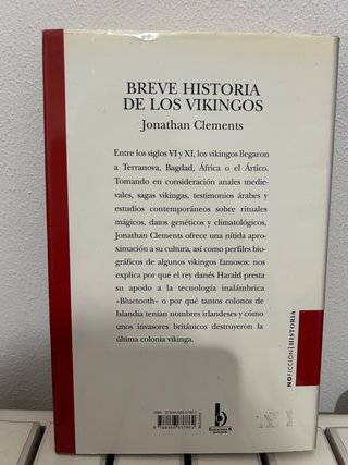 BREVE HISTORIA DE LOS VIKINGOS