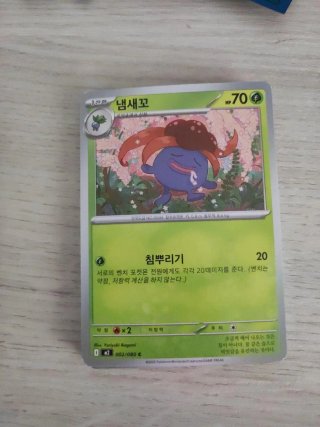Pokemon Cartas