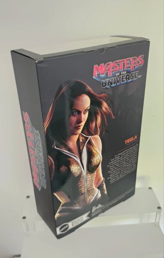 Barbie Masters of the Universe Teela