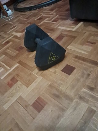Dos Mancuernas de  10 kg