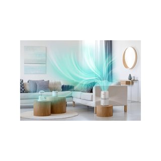 Philips HU2510/10 Serie 2000 humidificador aire 2L
