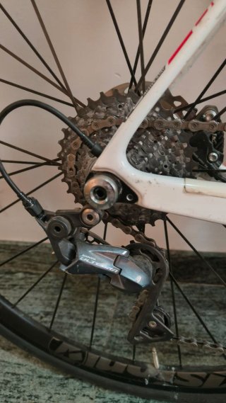 Berria Belador Carbon Disc talla S
