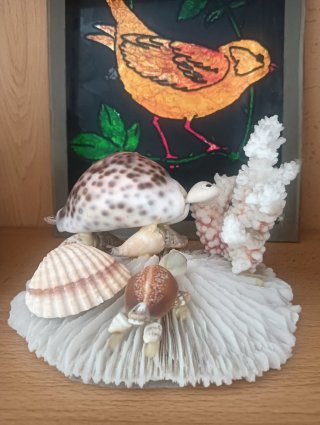 Decoración de conchas y coral.