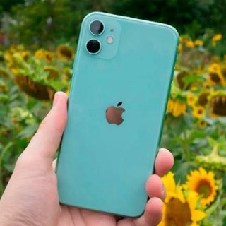 iPhone 11 256 GB Verde