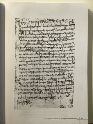 Láminas de la cátedra de Paleografía y Diplomática