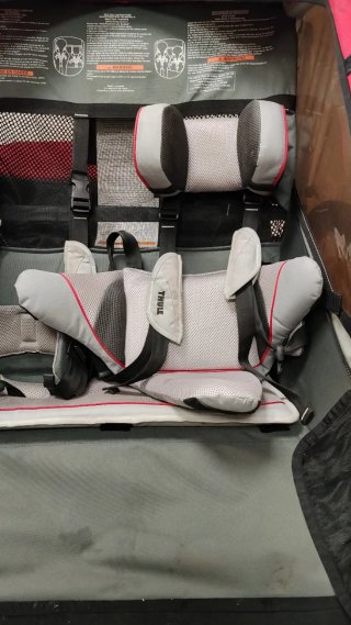 Carro biplaza Thule Chariot Cougar