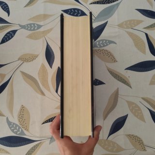 Libro The host (la huésped)