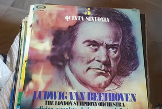 Lote Vinili Musica Classica