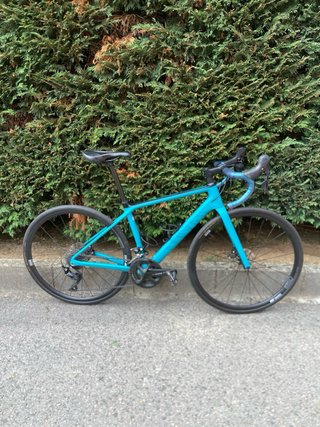Bicicleta CANYON Endurace CF SL 7 WMN DISC