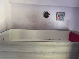 Cama nido madera y plástico