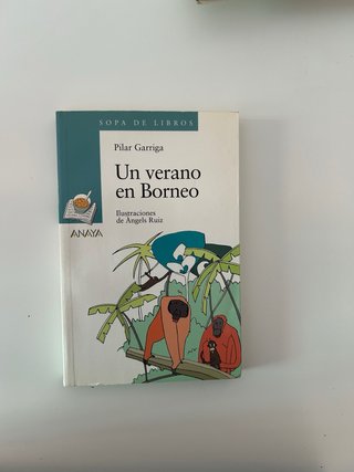 lote de 4 libros infantiles anaya
