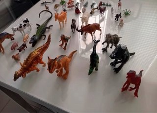 Libro atlas de animales y figuras de animales