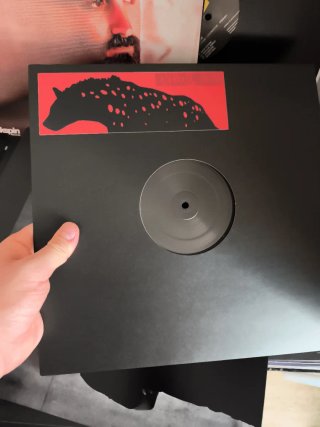 Lote de 14 vinilos Techno