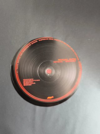 Lote de 14 vinilos Techno