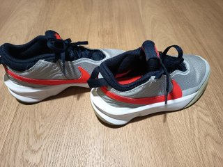 Nike Team Hustle D 10 Gris/Rojo