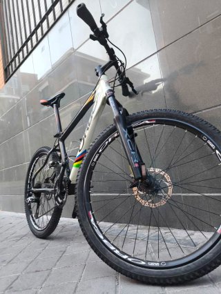 Bicicleta Orbea Team Montaña