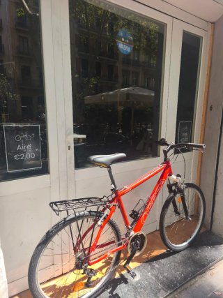 Bicicleta Orbea MTB Talla L