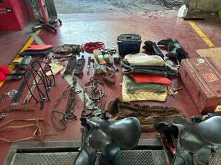Material hipica Cavalls