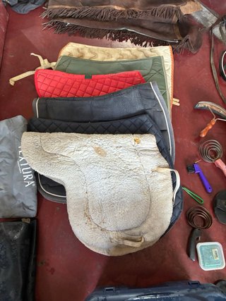 Material hipica Cavalls