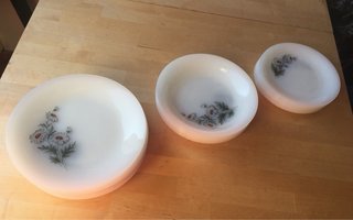 Vajilla Arcopal Vintage Opalina Flores
