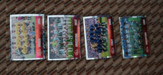 Cromo Panini Italia Mundial 2006