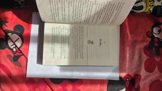 Términos y condiciones