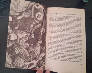 Libro LOS HORRORES NAZIS,Hans Reiner,1971