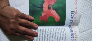 Libro universitario le demenze