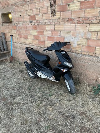 Beta Ark y Peugeot Speedfight 2