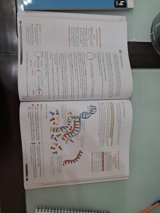 Biología y Geología 4 ESO (25-26) (Negociable)