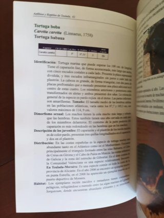Anfibios y reptiles de Teulada. Guía de campo